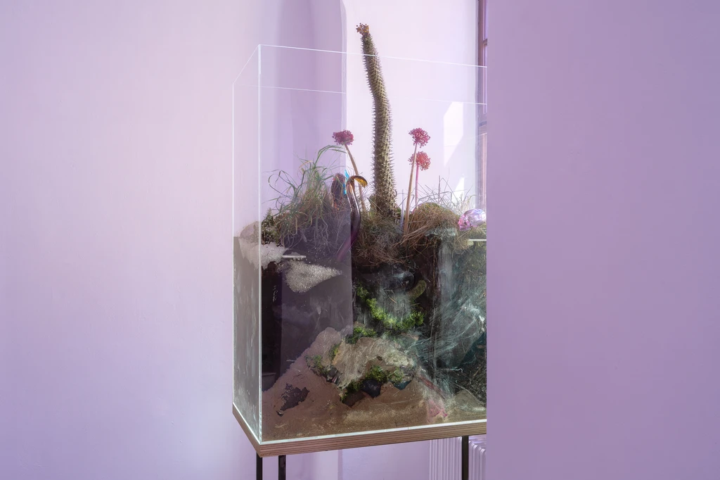 Few thoughts on floating spores 23 10 2023 Sopa Gallery 46 2 1